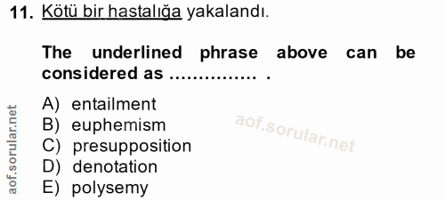 Soru 11