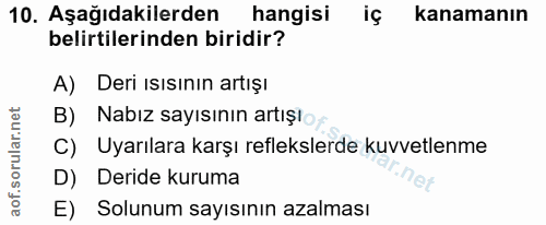 Soru 10