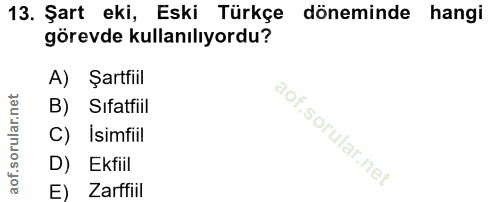Soru 13