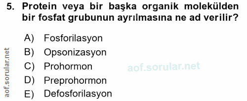 Soru 5