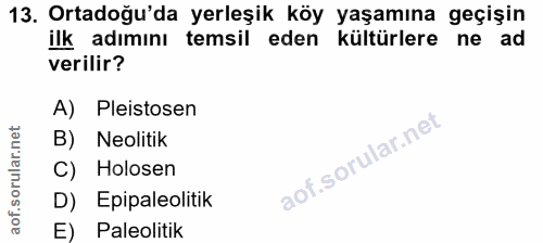 Soru 13