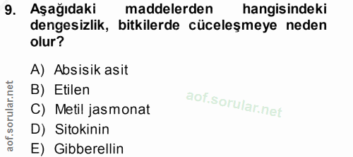 Soru 9