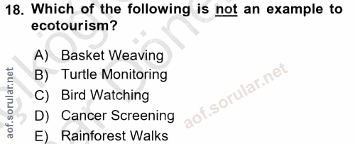 Soru 18