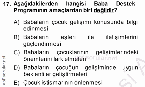 Soru 17