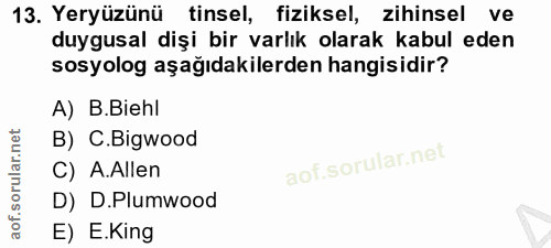 Soru 13