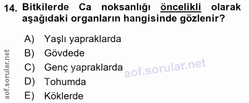 Soru 14