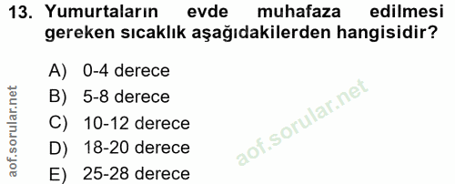 Soru 13