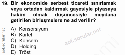 Soru 19