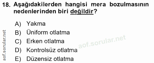 Soru 18
