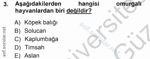 Soru 3