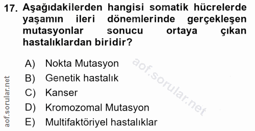 Soru 17
