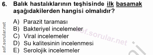Soru 6