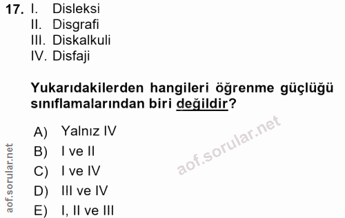 Soru 17