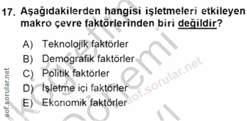 Soru 17
