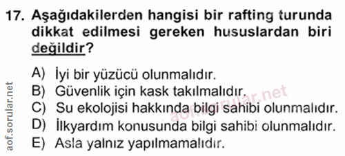 Soru 17