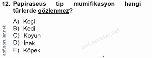 Soru 12