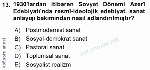 Soru 13