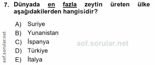 Soru 7