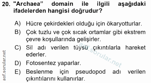 Soru 20