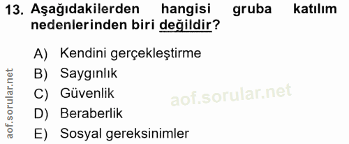 Soru 13