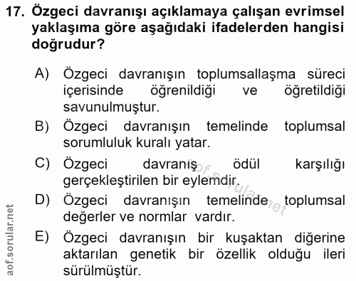 Soru 17
