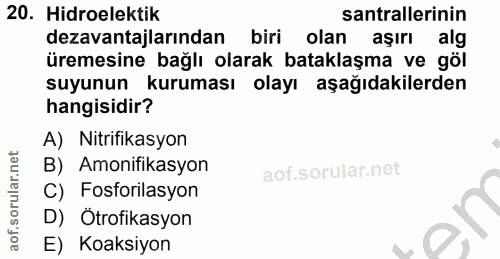 Soru 20
