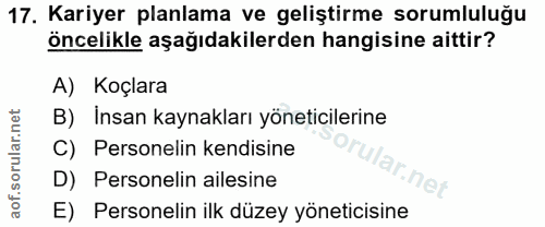 Soru 17