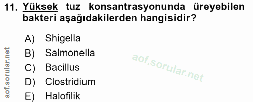 Soru 11