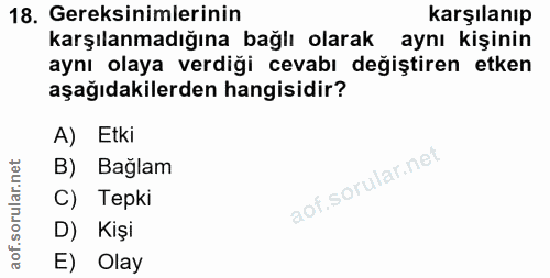 Soru 18