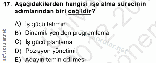 Soru 17