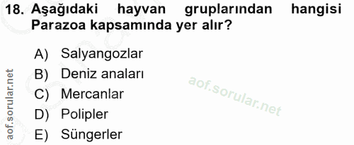 Soru 18