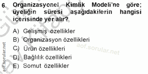 Soru 6
