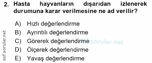 Soru 2