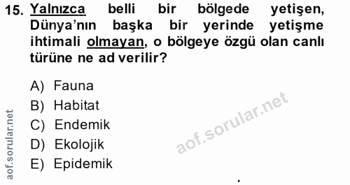 Soru 15