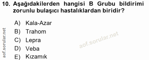 Soru 10