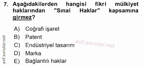 Soru 7