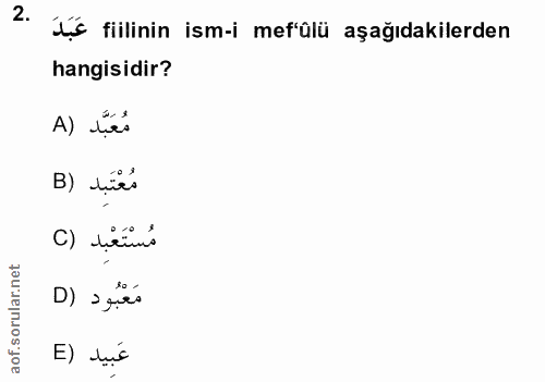 Soru 2