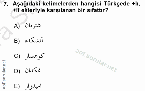 Soru 7