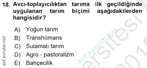 Soru 18