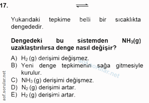 Soru 17