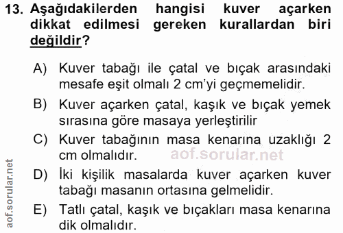 Soru 13