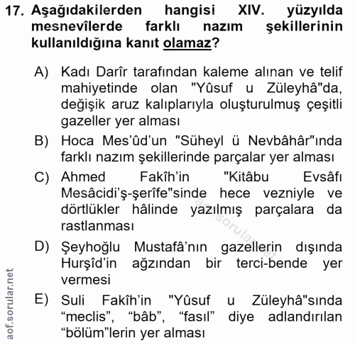 Soru 17