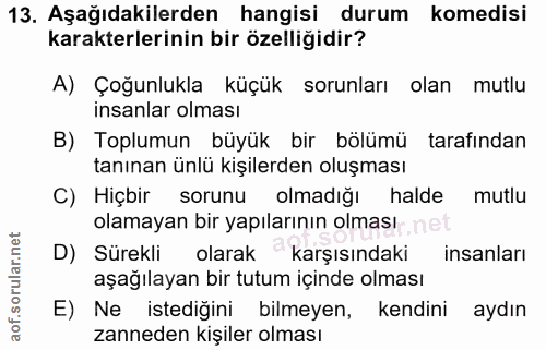 Soru 13