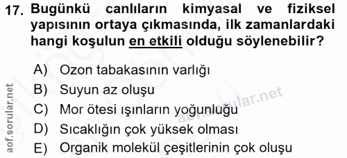 Soru 17
