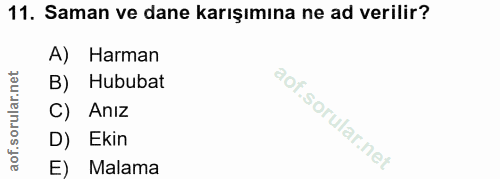 Soru 11