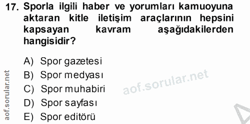 Soru 17