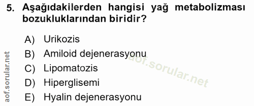 Soru 5