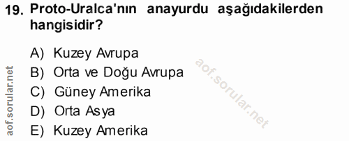 Soru 19