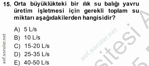 Soru 15