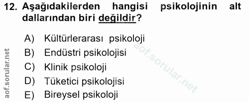 Soru 12